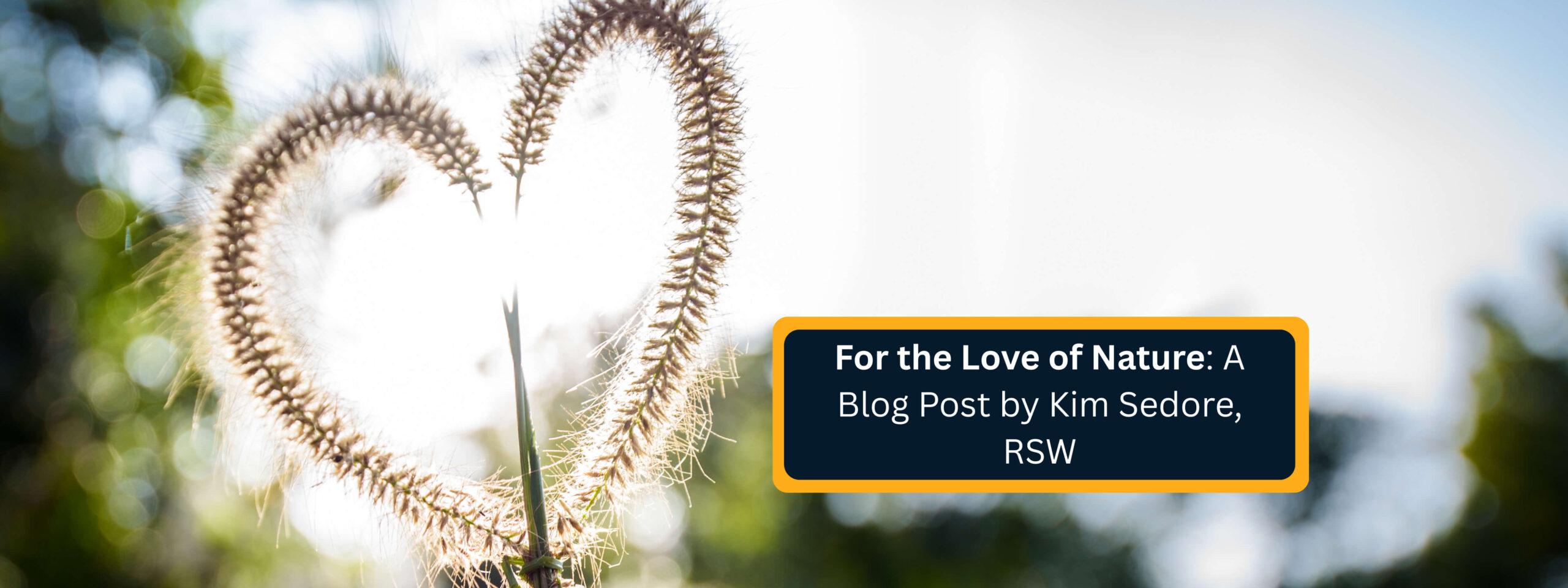 For the Love of Nature A Blog Post by Kim Sedore, RSW