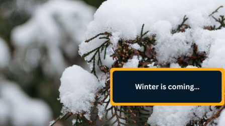 Winter is coming