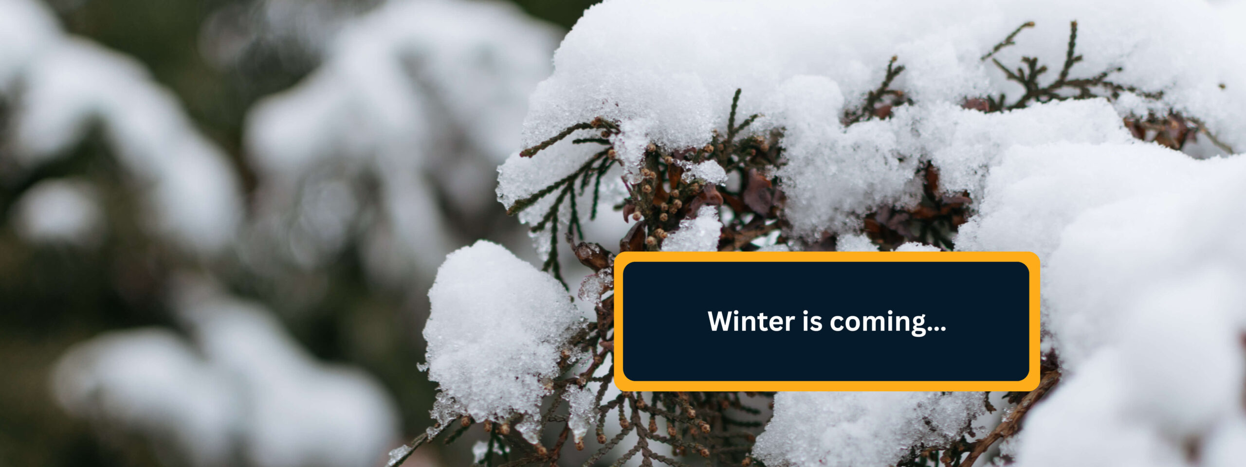 Winter is coming