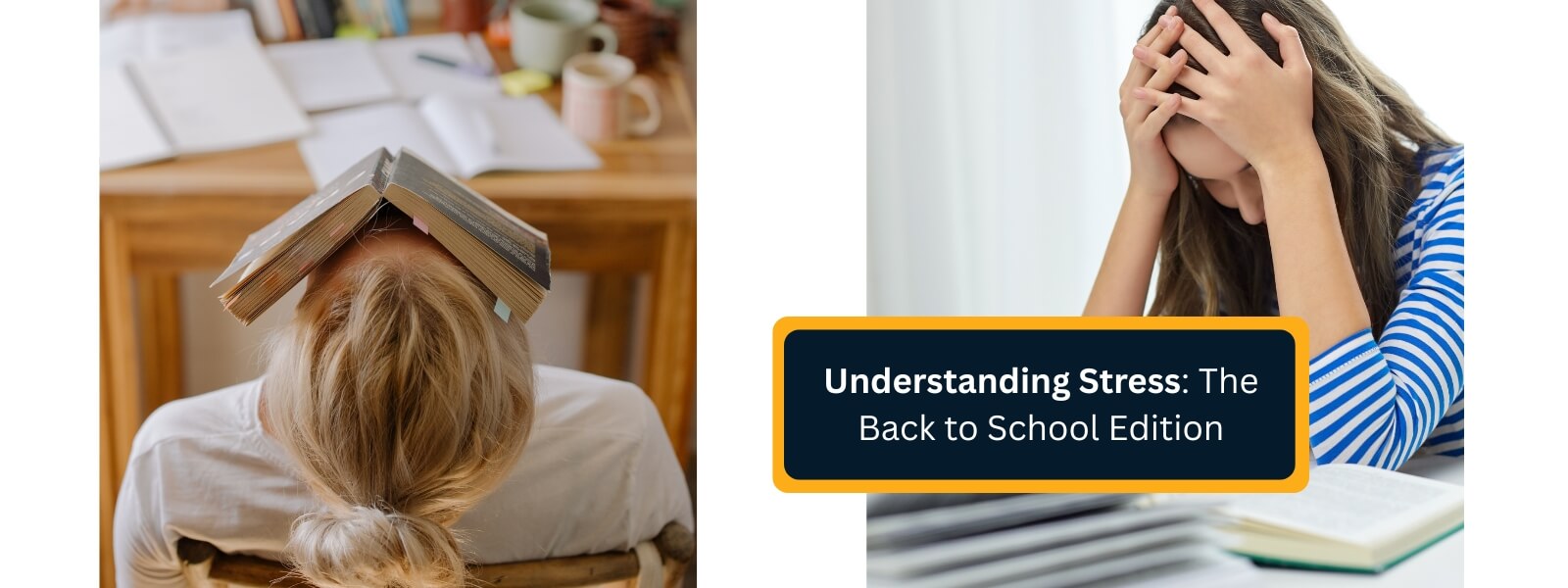 Understanding Stress - The Back to School Edition