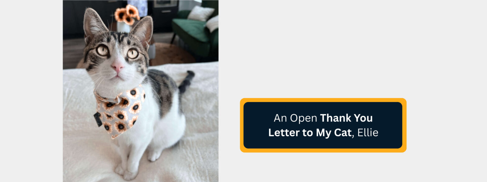 An Open Thank You Letter to My Cat, Ellie