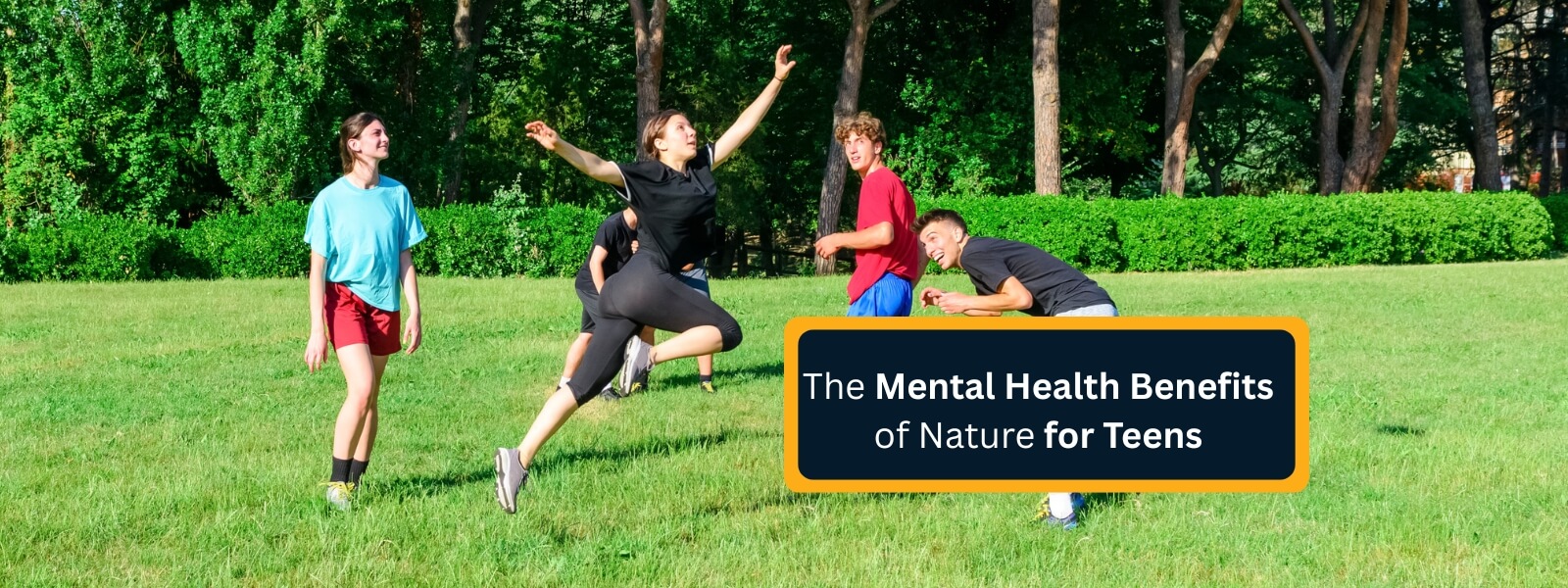 Mental Health Benefits of Nature
